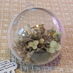 Handmade Dried Seeds & Floral Ornament